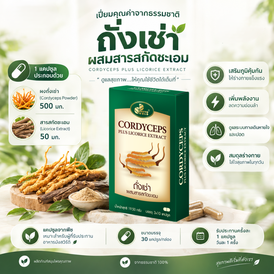 ถั่งเช่า ผสมสารสกัดชะเอม ถังเช่าผสมสารสกัดชะเอม - Image 1