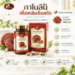 กาโนลิน เห็ดหลินจือสกัด - Image 2